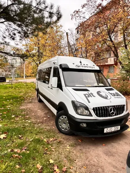 Mercedes-Benz Sprinter 2007 г. 999999 км