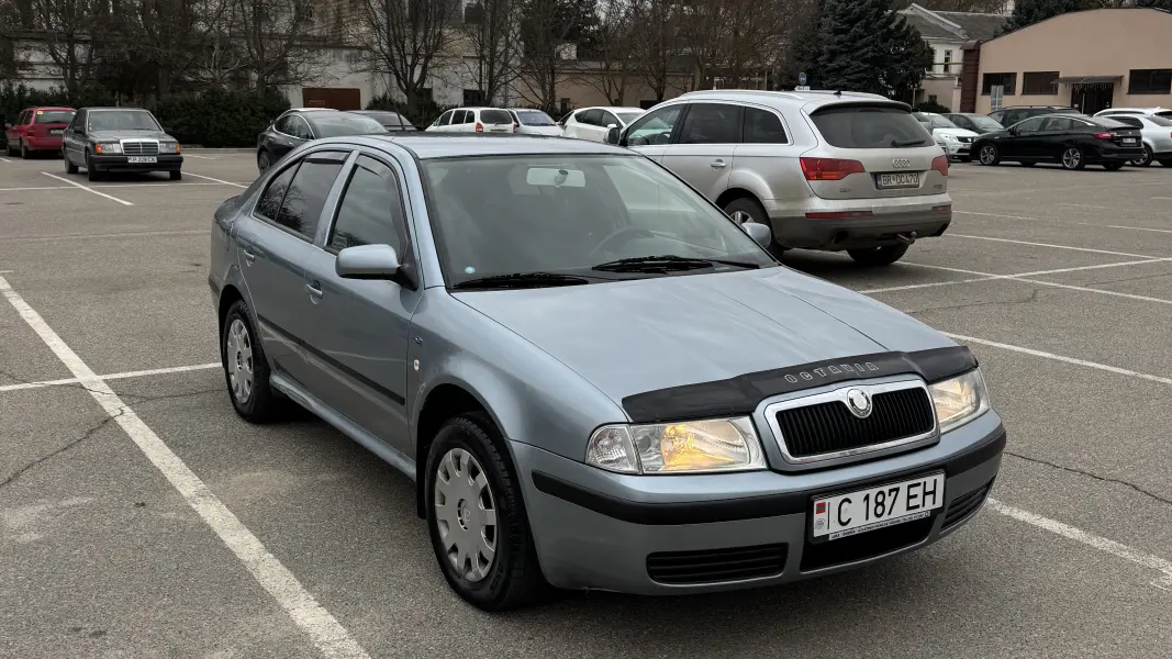 Skoda Octavia 2002 г. 300457 км