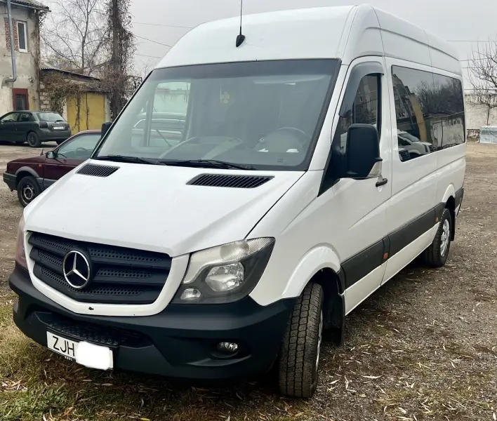 Mercedes-Benz Sprinter 2007 г. 100 км