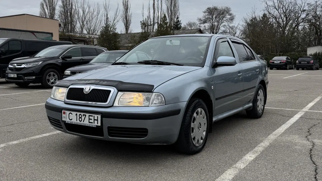 Skoda Octavia 2002 г. 300457 км