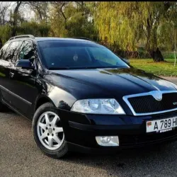 Skoda Octavia 2008 г. 255000 км