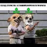 Филиппов Александр