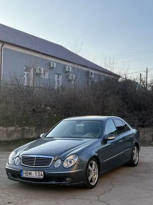 Денис Дамаскин